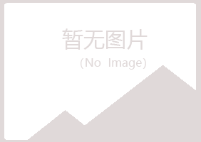 黑河山柳采矿有限公司